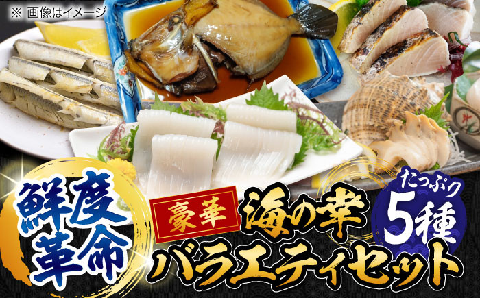 
【鮮度革命】 こだわり冷凍保存！豪華海の幸バラエティ5種セット 魚 料理 和食 簡単 レシピ 魚介類 海産物 海鮮 刺身 ギフト 江田島市/秋宝丸 [XCK004]
