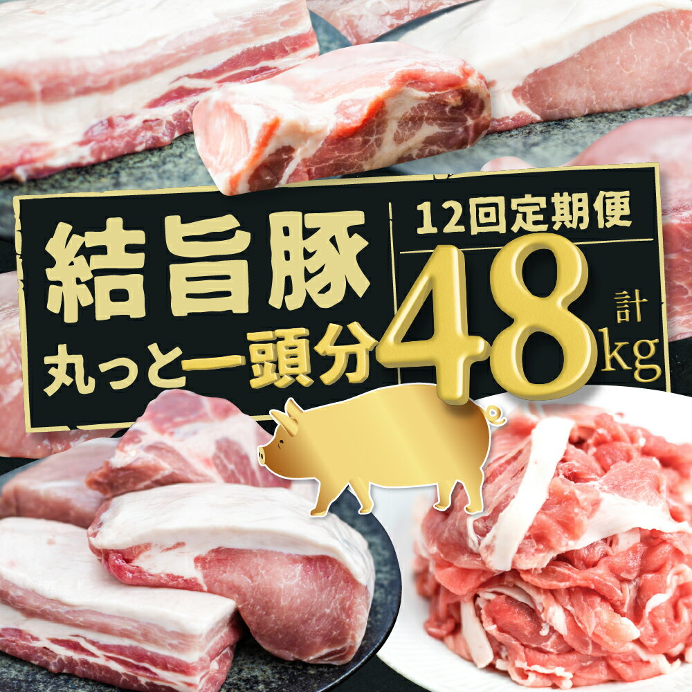 【ふるさと納税】 《定期便》結旨豚 丸っと一頭分 12回 定期便 約1頭分のお肉 豚肉 食べ比べ 48kg 毎月 4kg [S946]