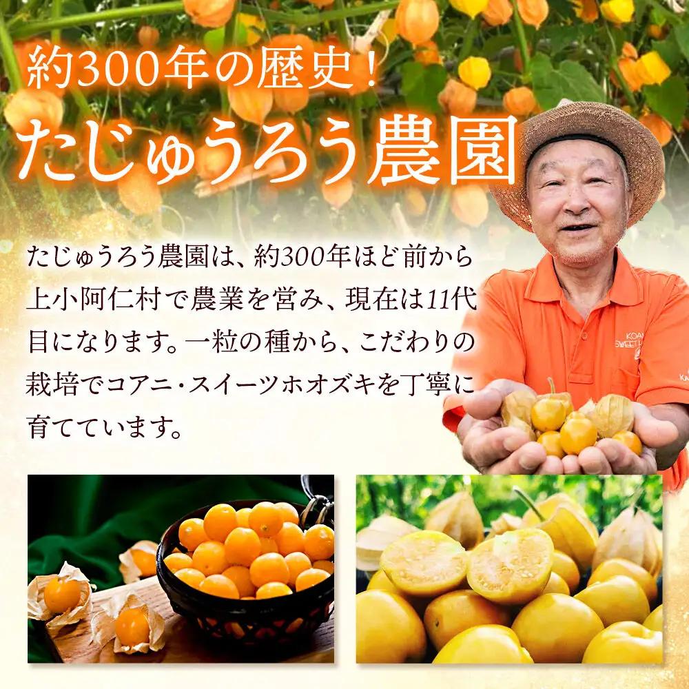 【9月下旬～10月中旬発送】《冷蔵》コアニ・スイーツホオズキ 150g 殻付き 生食用 ほおずき ゴールデンベリー スーパーフード たじゅうろう農園【先行予約】