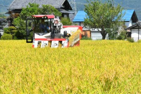 米 令和7年 無洗米 長野県産 コシヒカリ 10kg