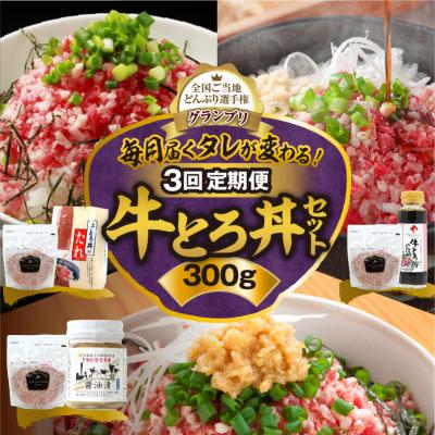 ふるさと納税 清水町 【3回定期便】毎月付属のタレが変わる!?受賞歴多数!牛とろ丼セット300g