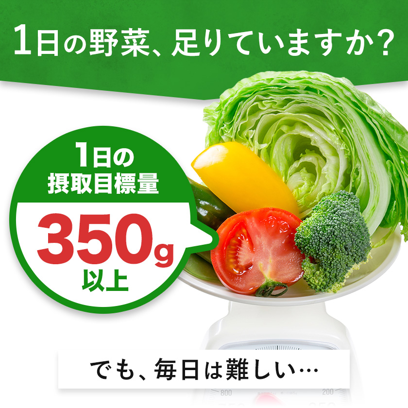 【12ヶ月定期便】1日分の野菜 200ml 48本 株式会社北海道伊藤園 《お申し込みの翌月から出荷》北海道 日高町 砂糖不使用 食塩不使用 栄養補給ドリンク 管理栄養士推奨 野菜ジュース ベジタブル