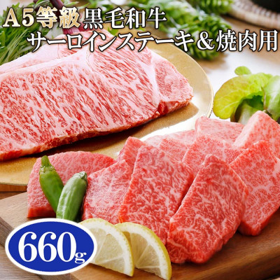 A5等級黒毛和牛サーロインステーキ2枚＆焼肉用(計660g) C0−16【配送不可地域：離島】【1166305】