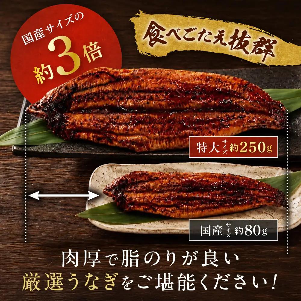 【3回定期便】うなぎ蒲焼き500g以上(250g以上×2尾)【魚住商店】_HB0223 うなぎ 鰻 蒲焼 真空パック 福岡県宗像市 宗像市 福岡 宗像