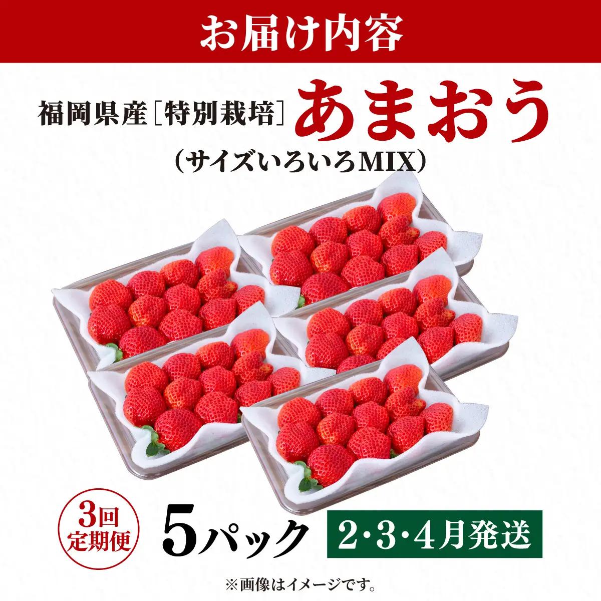 いちご 福岡県産 特別栽培 あまおう サイズいろいろMIX 約1425g（約285g×5パック）【3回定期便（2～4月発送）】