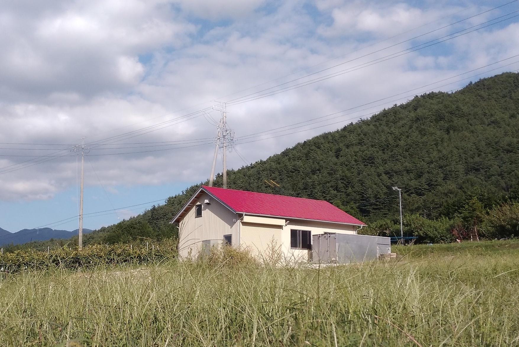 霧訪山シードル 塩尻市産コンコード100% 赤微発泡 | 塩尻ワイン ワイン コンコード 微発砲 霧訪山シードル 無添加 無濾過 酒 長野県 塩尻市