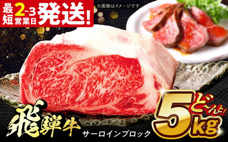 飛騨牛 極上 サーロイン ブロック 5㎏ 多治見市 / サーロイン 養老ミート サーロイン 冷凍 サーロイン 和牛 サーロイン ギフト サーロイン[THG014]