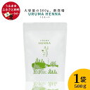 【ふるさと納税】沖縄産ヘナ「うるまヘナ」1袋（500g）