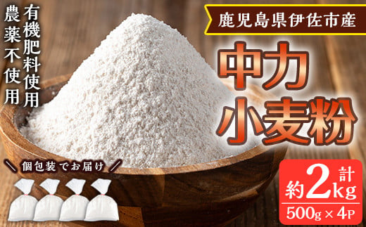 
isa479《毎月数量限定》あんしん小麦粉・中力粉(約500g×4袋・計約2kg）【しげふみファーム】
