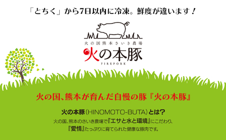 火の本豚 豚バラ ブロック 角煮用 1kg（500g×2パック） 豚肉
