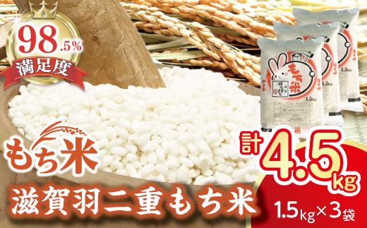 【新米】【7年産】滋賀羽二重もち米【1.5kg×3袋】【T036W1】