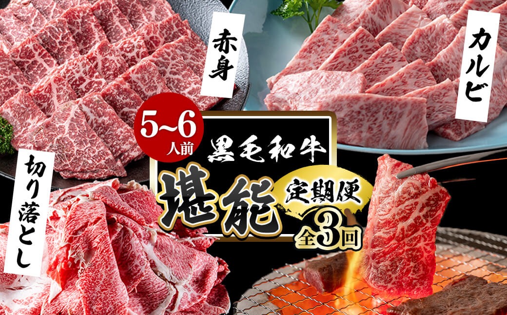 【定期便全3回】＜A4・A5等級＞黒毛和牛堪能〈お試し〉定期便（5～6人分）総重量1.8kg t0058-003
