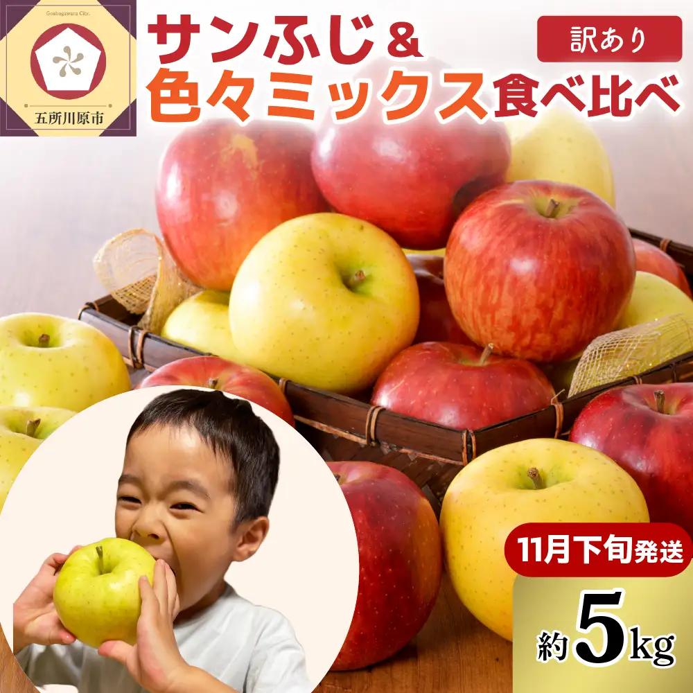 青森りんご 【2026年11月下旬発送】【訳あり】りんご 5kg 青森 家庭用 完熟 サンふじ ＆ 色々ミックス