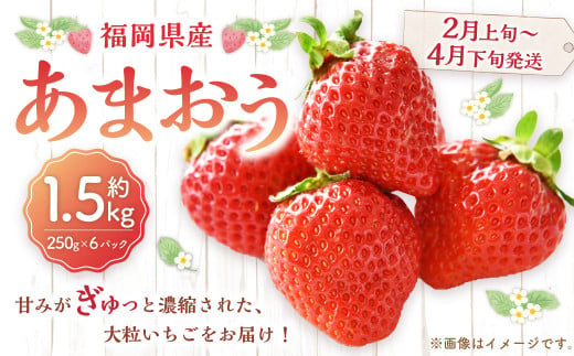 福岡県産 あまおう 1500g （250g×6パック） 苺 イチゴ いちご 大粒 果物 フルーツ 福岡 福岡県【2025年2月上旬～4月下旬発送予定】