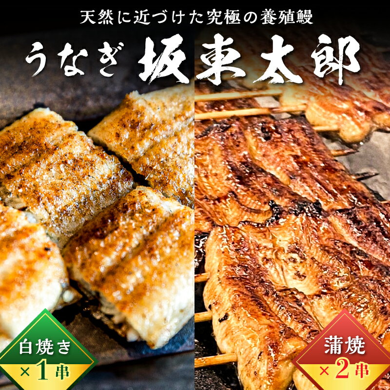 【ふるさと納税】 のし対応可能 国産 うなぎ 「坂東太郎 使用」 蒲焼 2串 ・ 白焼 1串 大サイズ 130g前後×3串 千葉県 南房総市 タレ 山椒 グルメ パック 備長炭 さっぱり アスパラギン酸
