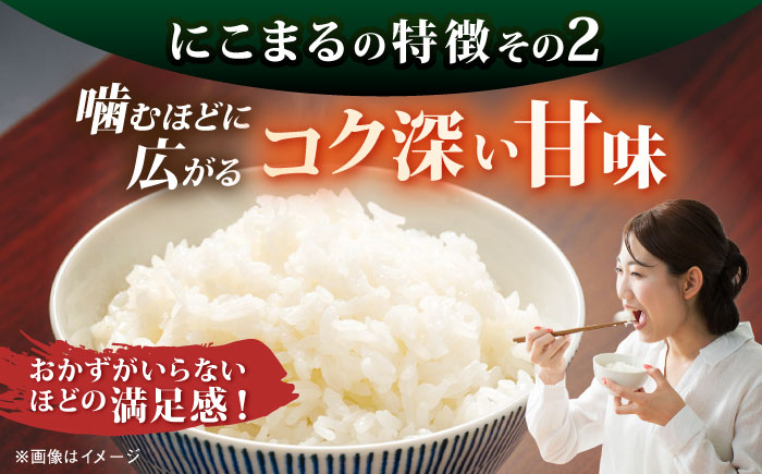 【全12回定期便】 にこまる 玄米品質1等米 白米 10kg 糸島市産 糸島市 / 糸島の恵み コメ こめ ご飯 [AGR013]