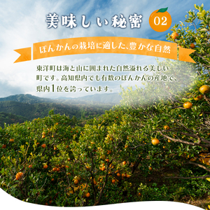 F-02 【先行予約】完熟ぽんかん＜5kg＞　F109 【株式会社フクチャンFARM】