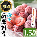 【ふるさと納税】冷凍あまおう(約1.5kg) 苺 いちご イチゴ フルーツ 果物 くだもの 手作り スイーツ スムージー ジャム ＜離島配送不可＞【ksg1252】【THE FARM_strawberry】