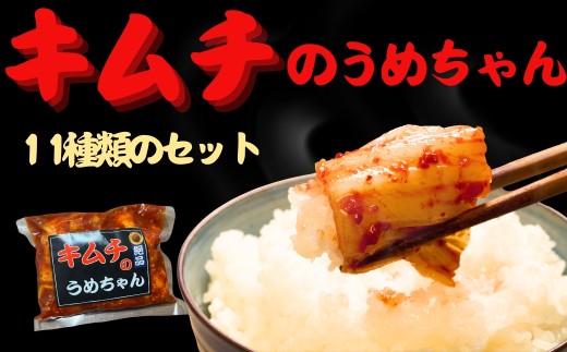 
            キムチ11種類フルセット キムチのうめちゃん キムチ 手作り 本場の味 コクうま 白菜 ニンニク ごはんのお供 ピリ辛 お米 ごはん ビール 酒 おつまみ 漬物 野菜 BBQ 焼肉 惣菜 キムチチャーハン キムチ鍋 発酵食品 韓国  奈良県 奈良市 なら 24-009
          