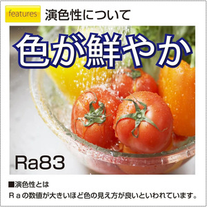 LEDペンダントライト「RV60049」