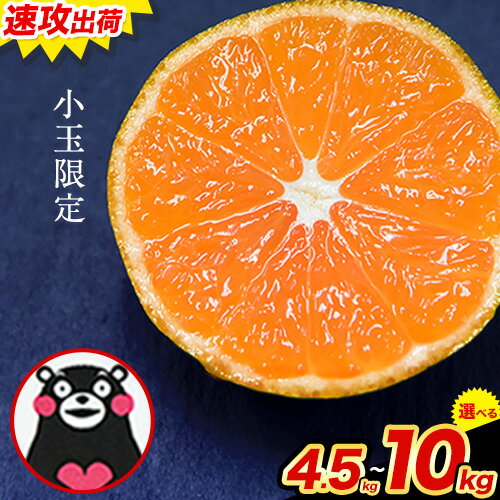 【ふるさと納税】【年内発送】訳あり みかん 小玉 ひとくちもぎたてみかん 約 4.5kg (4.5kg×1箱) 約 7kg (3.5kg×2箱/7kg×1箱) 約 10kg (10kg×1箱) S-3Sサイズ 訳あり ご家庭用 熊本県産 期間限定 フルーツ 果物 旬 みかん《3-7日以内に出荷予定(土日祝除く)》