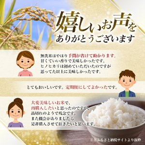 【令和7年産米】無洗米 奈良県産 ヒノヒカリ 5kg（5kg×1）／ 新米 全農パールライス 米 お米 白米 国産 奈良県 葛城市 こめ コメ ライス ご飯 ごはん ふっくら もちもち つやつや おい