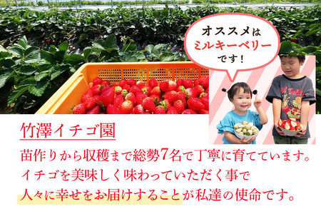 [先行予約] 日光産 プレミアムいちご「スカイベリー＆ミルキーベリー」各1パック 計約600g [2026年1月中旬から順次発送]｜ミルキーベリー スカイベリー いちご イチゴ 苺 果物 日光産 栃木