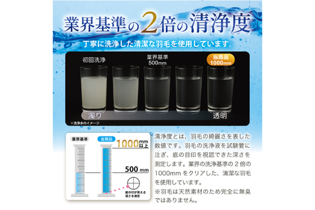羽毛布団 本掛け セミダブル 冬用 80番手 サテン 無地 アイボリー 綿100％ ｜