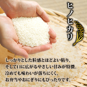 京都山城産ヒノヒカリ 5kg × 3ヶ月定期便 令和7年産 米