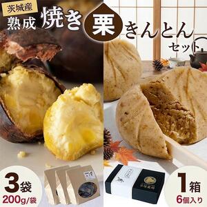 【 吉原農場 の 完熟栗 】 熟成 焼き栗 3袋・栗きんとん 1箱 セット