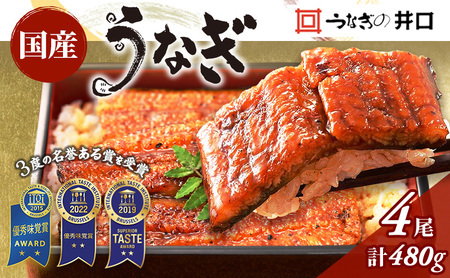 うなぎ 国産 3度受賞 長蒲焼き 4尾 480g 井口 冷蔵 うなぎ