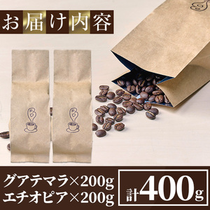 自家焙煎コーヒー豆　厳選ストレート2種400g（グアテマラ200g・エチオピア200g） 珈琲 飲料 ドリンク アウトドア キャンプ おうち時間【BC001】【Backrest Coffee】