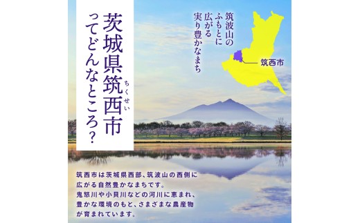 訳あり さつまいも 栗かぐや 約 5kg 特別栽培 土付き 新芋 ホクホク 希少 サツマイモ いも お芋 焼き芋 焼芋 秋 味覚 旬 栗 食感 くり 井上さつま サイズ混合 特別栽培農産物 ※ 熟成 さつまいも いも おいも 焼き芋 芋 おやつ 訳アリ まごころ野菜よしの 茨城 筑西 関東 よしのいも