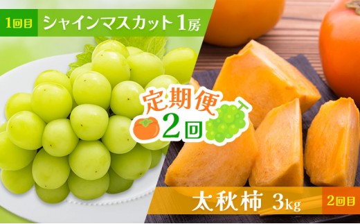 
                  定期便 2回 シャインマスカット・太秋柿 ★Cafe 楓★ 果物 フルーツ シャイン マスカット 柿 ※配送不可：北海道・東北・沖縄・離島
                