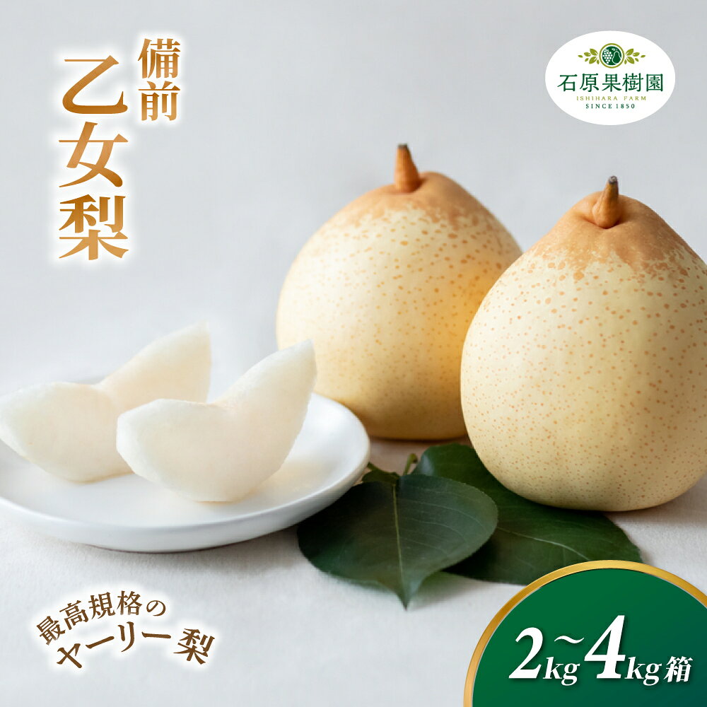 【ふるさと納税】 梨 備前乙女梨 ヤーリー梨 先行予約 贈答箱 化粧贈答箱 赤秀 岡山県産 | 特選品 上級品 贈り物 御歳暮 果物 くだもの フルーツ 和梨 石原果樹園 贈答品 岡山県 真庭市
