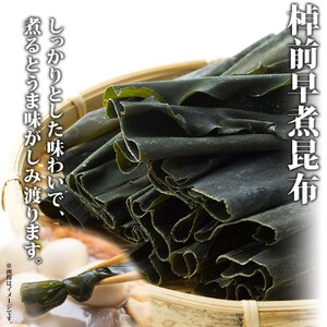 【のし付き】山田物産の昆布2種セット 棹前早煮昆布100g×2袋 とろろ180g 北海道釧路町産【1427555】