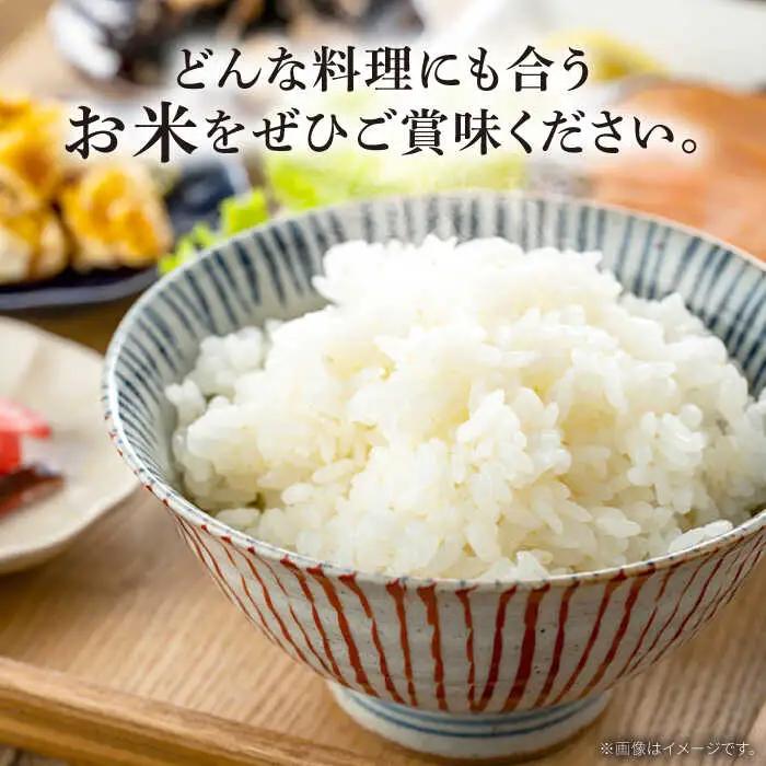 ヒノヒカリ 10kg×12回 定期便 / ひのひかり 米 お米 こめ コメ 精米 / 南島原市 / 林田米穀店 [SCO007]