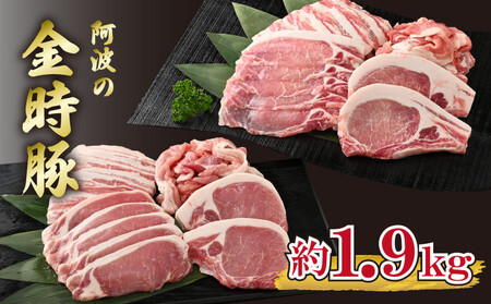 金時豚 豚肉 4種セット 約1.9kg 豚肉 豚肉 豚肉 豚肉 豚肉 豚肉