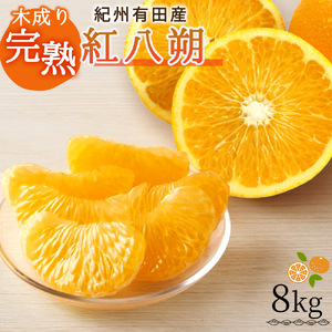 【先行予約】紀州有田産木成り完熟紅八朔８kg ※2027年2月下旬頃〜3月中旬頃に順次発送予定（お届け日指定不可）/ みかん 不知火 和歌山 フルーツ 有田【uot795】