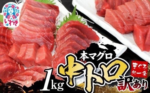 【単品】訳あり まぐろ 1kg |マグロ 中トロ  約6～8人前 本まぐろ 解凍レシピ付 鮪 海鮮丼 刺身 寿司 鉄火丼【202512_年内発送】魚介 お正月準備
