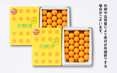 完熟きんかん たまたま 2kg ふるさと納税 果物 フルーツ デザート スイーツ きんかん きんかんたまたま 完熟 宮崎県産 国産 宮崎産 贈答 贈り物 ギフト プレゼント ブランド 柑橘 柑橘系 柑