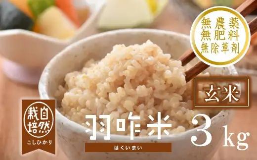 令和8年産 羽咋米 こしひかり 玄米3㎏ 羽咋米