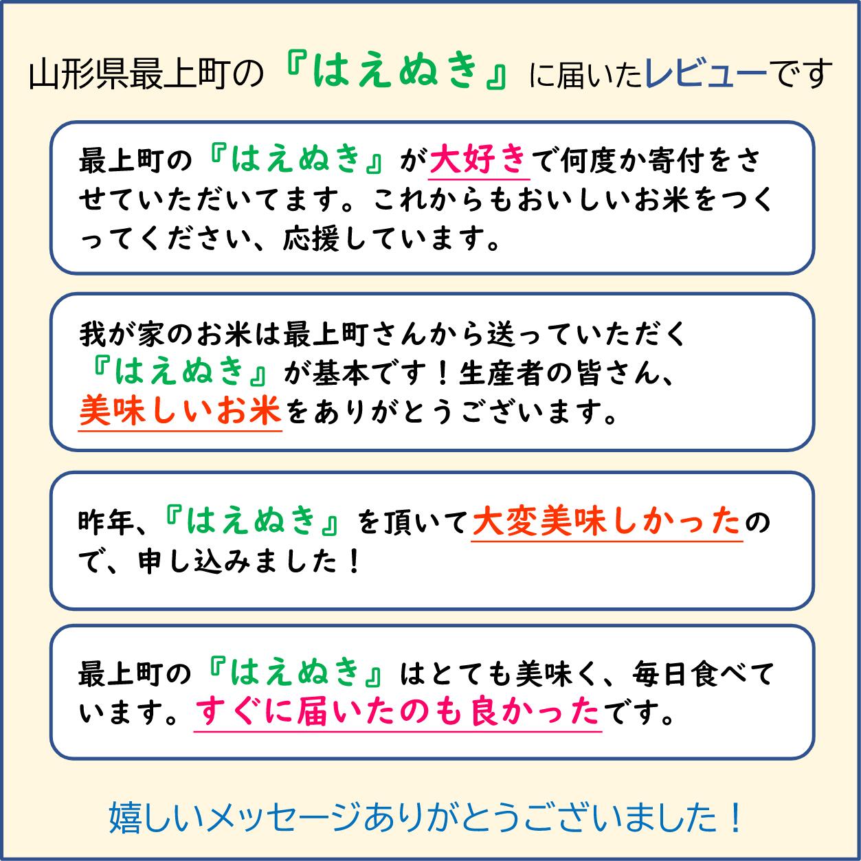 【令和7年産】山形県産 はえぬき 10kg (5kg×2袋)