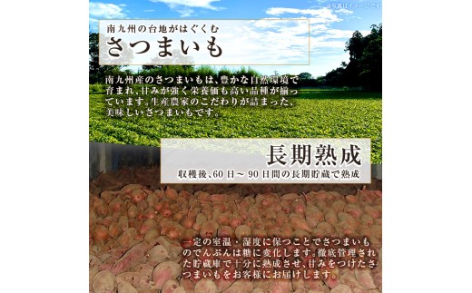 a0001-BA2 冷凍焼き芋！畑の金貨・やきいもセット(紅はるか1kg・安納芋1kg)計2kg【甘いも販売所】姶良市 焼き芋 訳あり やきいも スイーツ さつまいも 熟成