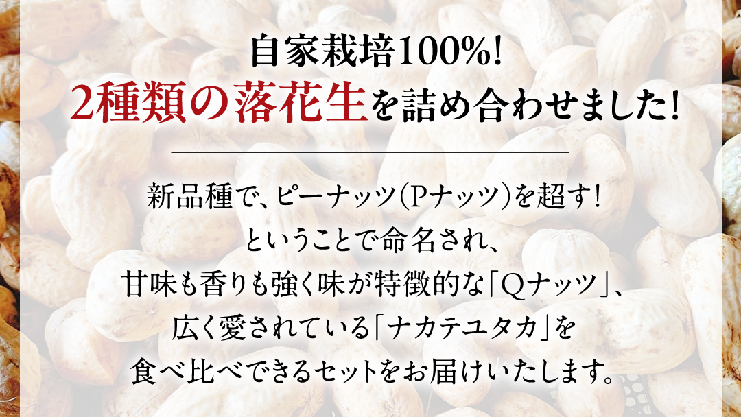 牛久市産落花生Ｑナッツセット Qなっつ Qなっつ ピーナッツ ピーナツ ナカテユタカ 中手豊 殻付き おやつ お菓子 おつまみ お取り寄せ 詰め合わせ お土産 贈り物 ギフト プチギフト 国産 茨城