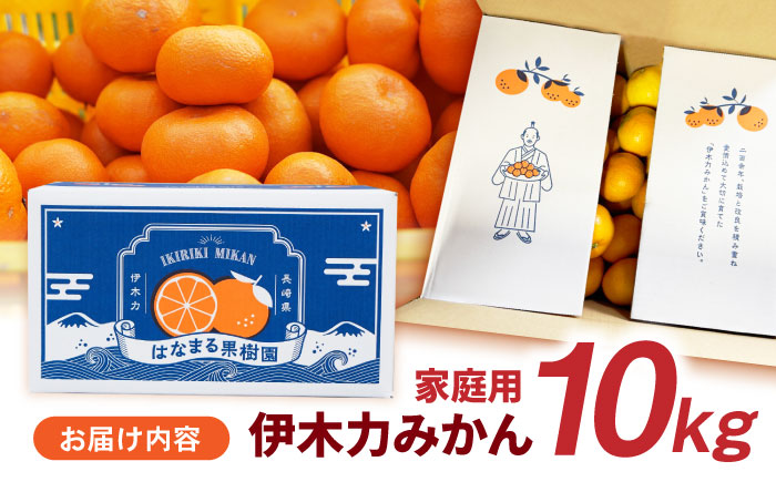 【先行予約】《伊木力みかん》家庭用みかん(10kg) / みかん ミカン 蜜柑 フルーツ 果物 柑橘 / 諫早市 / 山野果樹園 [AHCF001]