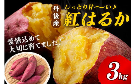 【先行予約】丹後産　さつまいも　紅はるか3kg　2027年1月下旬～配送 お野菜 野菜 正規品 ふるさと納税 さつまいも ふるさと納税 紅はるか べにはるか 甘い　AM00746_01