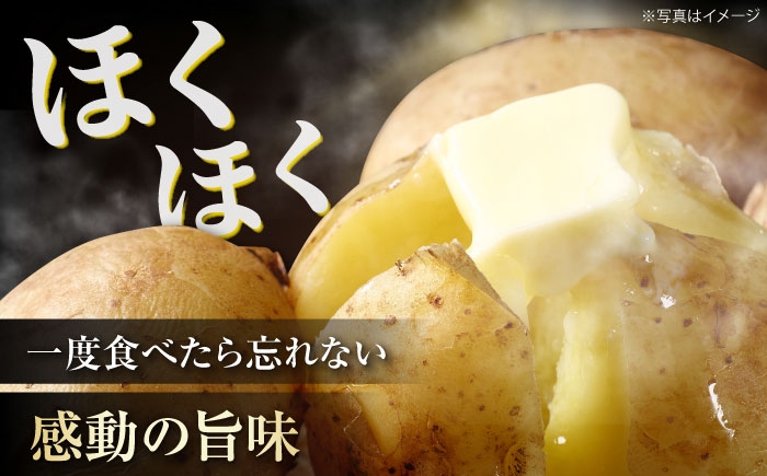 デジマ じゃがいも ジャガイモ 春作 新じゃが 5kg 長崎 国産 野菜 旬 家庭用 長崎 雲仙 南串山