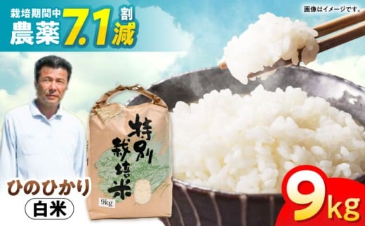 【先行予約】【R7年新米】九州のこだわり「ひのひかり」白米9kg / 米 こめ コメ お米 おこめ 白米 精米 白ご飯 ヒノヒカリ 長崎県産 / 諫早市 / 上島農産  [AHAS003] 新米 しんまい