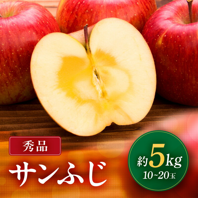 【ふるさと納税】【南信州産】サンふじ　約5kg　秀品 | りんご リンゴ ふじ サンふじ さんふじ 信州 南信州 送料無料 ふるさと納税 長野県 飯田市 K30